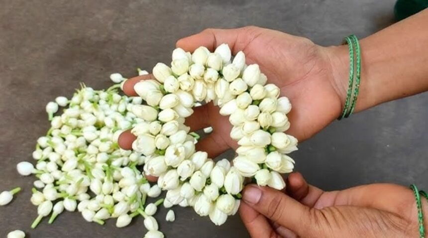 மல்லிகைப் பூ மாலை கட்டும் முறை