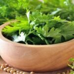ஃப்ரெஷ்ஷாக வைக்கப்பட்ட கொத்தமல்லி இலைகள் ஜாடியில் தண்ணீருடன்