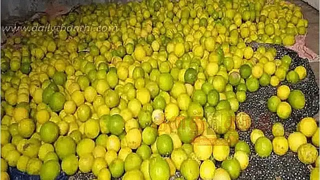 கோயம்பேடு சந்தையில் அடுக்கி வைக்கப்பட்டுள்ள எலுமிச்சை பழங்கள்