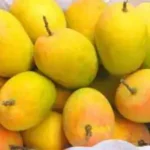 பழுத்த மாம்பழம் மற்றும் அதன் துண்டுகள்