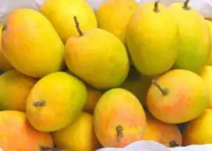 பழுத்த மாம்பழம் மற்றும் அதன் துண்டுகள்