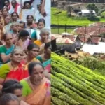 மேகமலை புலிகள் காப்பகப் பகுதி
