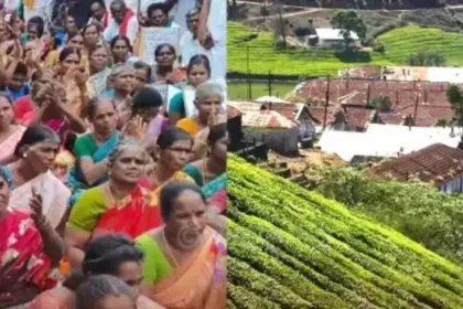 மேகமலை புலிகள் காப்பகப் பகுதி