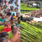 மேகமலை புலிகள் சரணாலயப் பகுதி