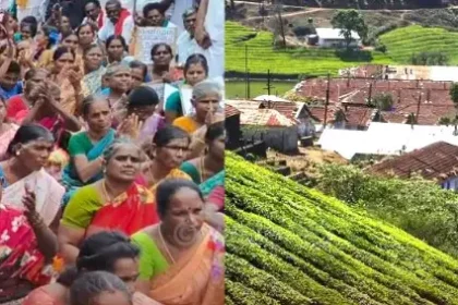 மேகமலை புலிகள் சரணாலயப் பகுதி