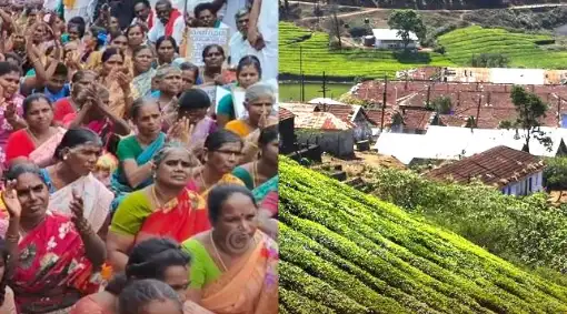 மேகமலை புலிகள் சரணாலயப் பகுதி