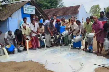 சாலைகளில் பாலை கொட்டி போராட்டத்தில் ஈடுபடும் பால் உற்பத்தியாளர்கள்