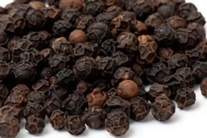 பல்வேறு நோய்களை குணப்படுத்தும் மிளகு