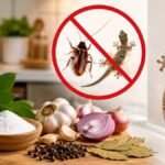 கரப்பான் பூச்சி மற்றும் பல்லியை விரட்டும் இயற்கை பொருட்கள்