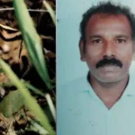 நீலகிரி மாவட்டம் கூடலூர் அருகே புலி தாக்கி உயிரிழந்த தேயிலைத் தோட்டத் தொழிலாளி ரவியின் உடல்