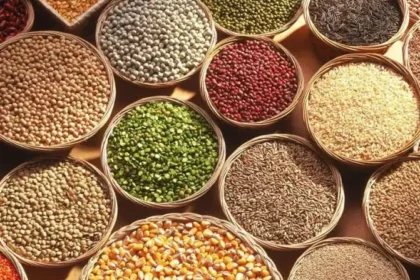 பல்வேறு வகையான நட்ஸ் மற்றும் ஆரோக்கியமான உணவுகள்