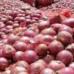 கோயம்பேடு சந்தையில் விற்பனைக்கு அடுக்கப்பட்டுள்ள வெங்காயம்