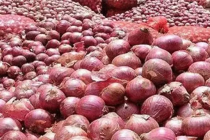கோயம்பேடு சந்தையில் விற்பனைக்கு அடுக்கப்பட்டுள்ள வெங்காயம்