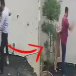பாட்டியாலாவில் தம்பதியரை தாக்கிய பிட்புல் நாய்