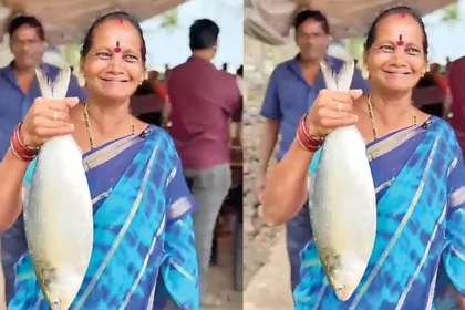 கோதாவரி ஆற்றில் பிடிக்கப்பட்ட அரிய வகை புலாசா மீன்