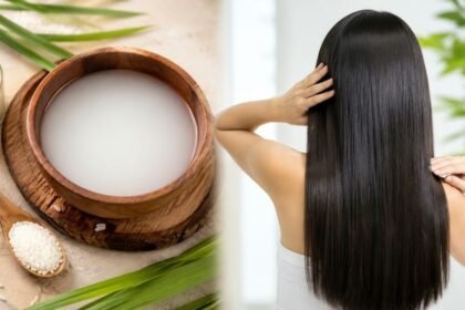 அரிசி கஞ்சி மற்றும் அதன் நன்மைகள் குறித்த தகவல்