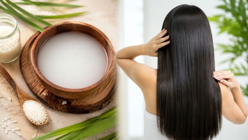 அரிசி கஞ்சி மற்றும் அதன் நன்மைகள் குறித்த தகவல்