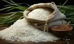 அரிசி மூட்டைகள் அடுக்கி வைக்கப்பட்டுள்ள காட்சி