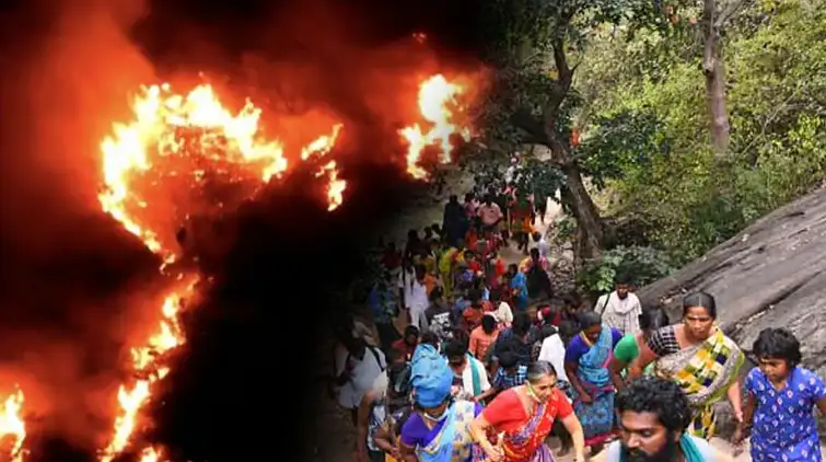 சதுரகிரி மலைப்பகுதியில் காட்டுத்தீ பரவும் காட்சி