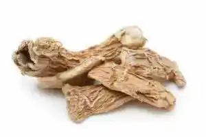 சுக்கு காபி கோப்பையுடன் ஒரு நபர்