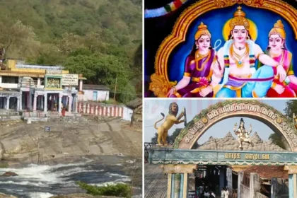 சொரிமுத்து அய்யனார் திருக்கோவில் ஆடி அமாவாசை திருவிழா குறித்த அறிவிப்பு