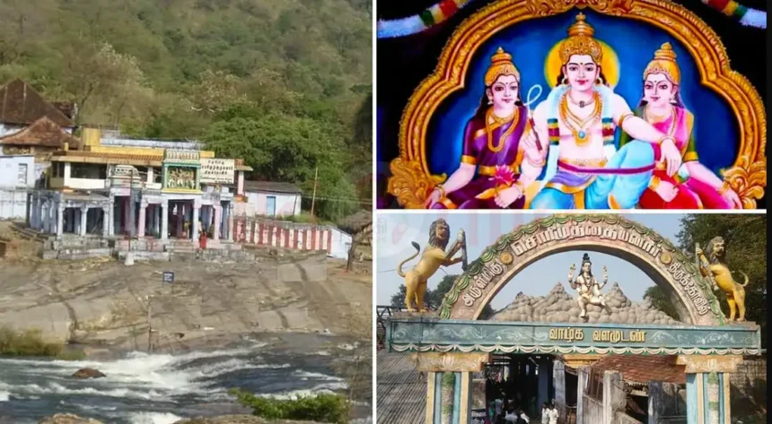 சொரிமுத்து அய்யனார் திருக்கோவில் ஆடி அமாவாசை திருவிழா குறித்த அறிவிப்பு