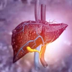 பச்சை சுண்டைக்காய்கள் நிறைந்த ஒரு கிண்ணம்