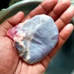 ஆட்டின் மண்ணீரலான சுவரொட்டி உணவுப் பொருள்