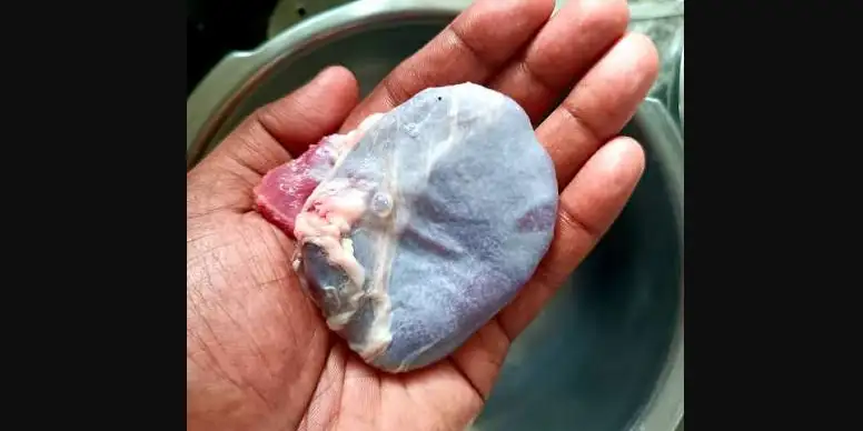 ஆட்டின் மண்ணீரலான சுவரொட்டி உணவுப் பொருள்