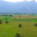 தமிழக அரசு அறிவிப்பு பலகை