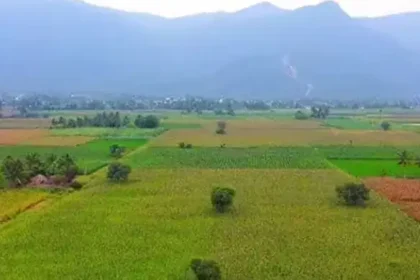 தமிழக அரசு அறிவிப்பு பலகை