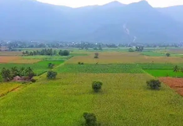 தமிழக அரசு அறிவிப்பு பலகை