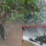 தெலங்கானாவில் வானத்தில் இருந்து விழும் மீன்களை சேகரிக்கும் பொதுமக்கள்