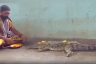 மழை வேண்டி முதலைக்கு பூஜை செய்யும் அர்ச்சகர்