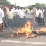 தஞ்சாவூரில் முதலமைச்சர் விஜயின் உருவ பொம்மையை எரிக்கும் திமுக தொண்டர்கள்