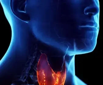 தைராய்டு அறிகுறிகள் குறித்த மருத்துவ விளக்கப்படம்
