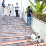 திருப்பதி மலைப்பாதையில் பக்தர்களுக்கு பாதுகாப்பு அளிக்கும் ரோபோ நாய்
