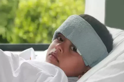 துளசி செடி மற்றும் இலைகள்