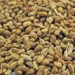 யூரிக் அமிலத்தைக் கட்டுப்படுத்தும் வழிமுறைகள் பற்றிய தகவல்