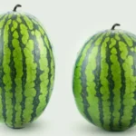 தர்பூசணி பழம் மற்றும் ஜூஸ்