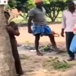 கண் முன்னே வெட்டப்பட்ட மரங்களை கட்டி அணைத்து கதறி அழுத செல்வி