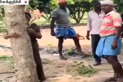 கண் முன்னே வெட்டப்பட்ட மரங்களை கட்டி அணைத்து கதறி அழுத செல்வி