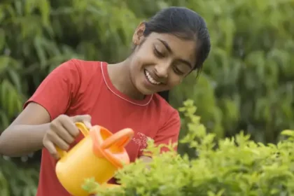 அமைச்சர் வினோத் வீட்டுத் தோட்டம் திட்டம் குறித்து அறிவிக்கிறார்