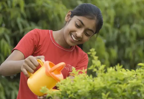 அமைச்சர் வினோத் வீட்டுத் தோட்டம் திட்டம் குறித்து அறிவிக்கிறார்