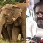 வனத்துறை அமைச்சர் ஆர்.வி. ரஞ்சித்குமார் அறிக்கை வெளியிடுகிறார்
