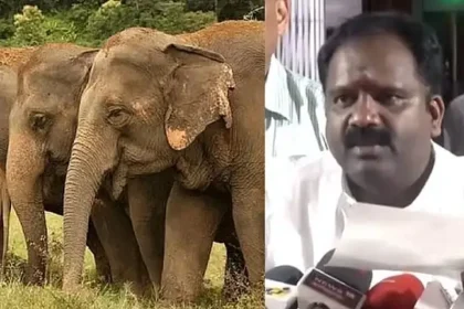 வனத்துறை அமைச்சர் ஆர்.வி. ரஞ்சித்குமார் அறிக்கை வெளியிடுகிறார்