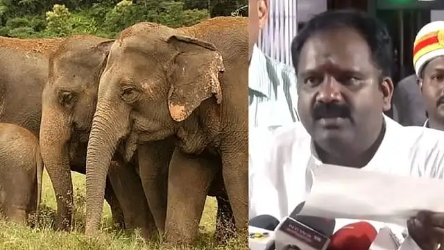 வனத்துறை அமைச்சர் ஆர்.வி. ரஞ்சித்குமார் அறிக்கை வெளியிடுகிறார்