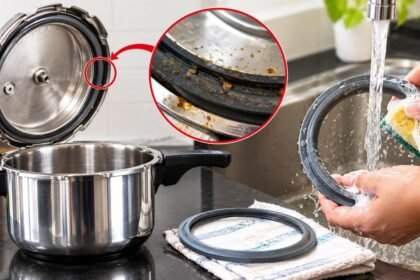 சமையலறையில் குக்கர் கேஸ்கெட்டை சரிபார்க்கும் பெண்