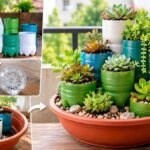 பழைய பிளாஸ்டிக் பாட்டில்களைக் கொண்டு அமைக்கப்பட்ட மாடித் தோட்டம்