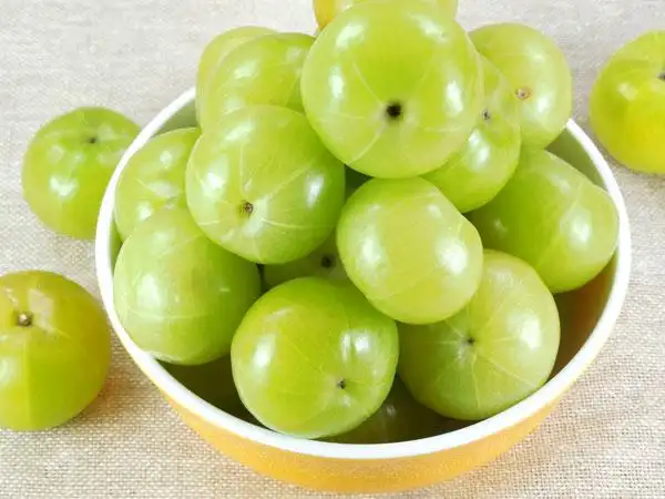 நெல்லிக்காய் பழங்கள் மற்றும் அதன் நன்மைகள் பற்றிய தகவல்